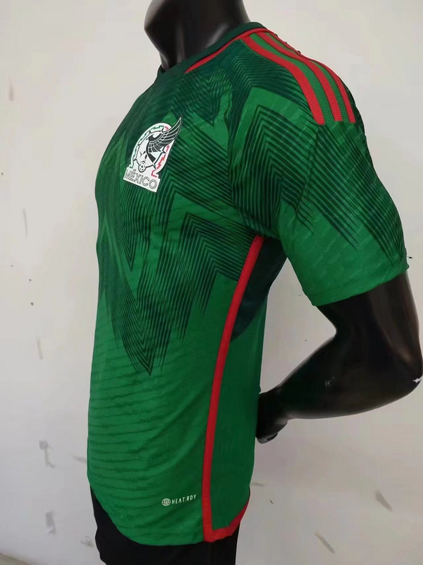 2022 World Cup Mexico Home